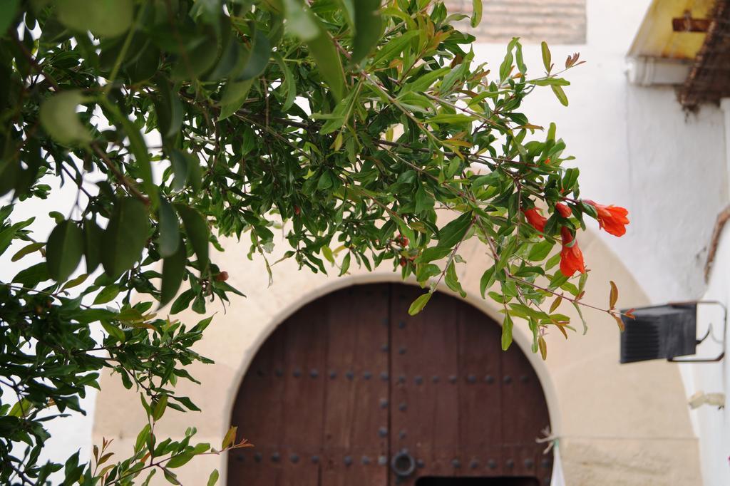 Country house Casa De La Placeta Del Rincon